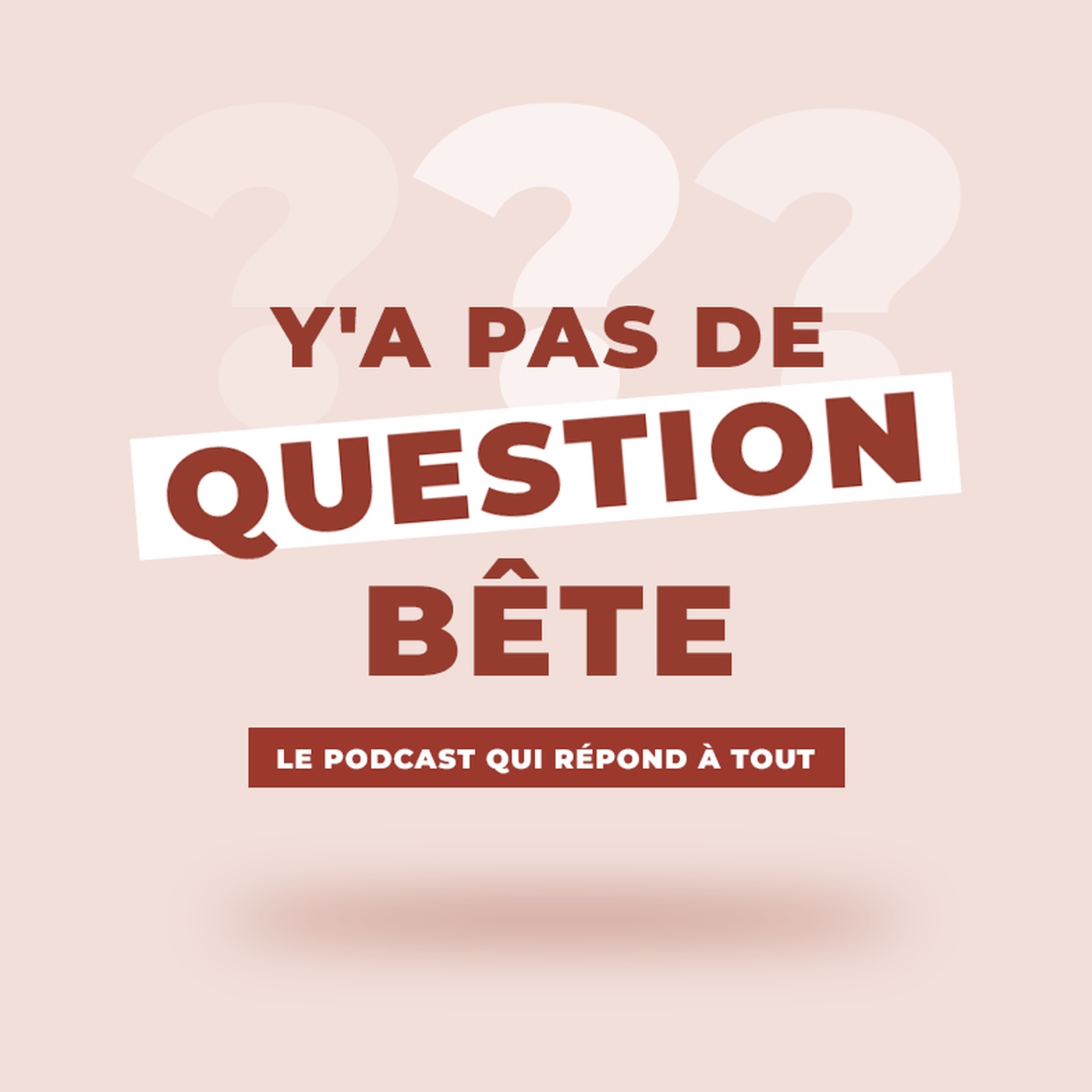 Y'a pas de question bête !